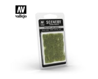 Vallejo Paints Wild Tuft Dry Green Xl 9/20