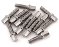 Vanquish Products Scale SLW Hub Scale Screw Kit (Stainless) (12) (Long)