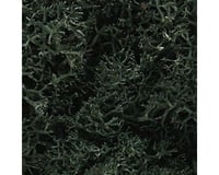 Woodland Scenics Lichen Bag, Dark Green/82 cu. in.
