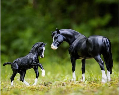 Breyer® Equidae  Dry Creek Western Wear