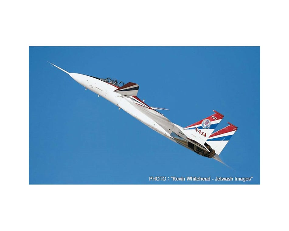 Hasegawa 1/72 F-15 Active/Intigrated Flight Control System