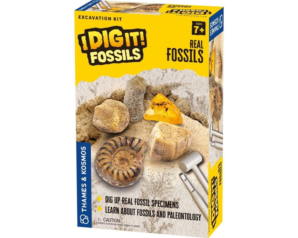 Thames & Kosmos I Dig It! - Set regalo per scavo rocce e fossili, 24 kit di scavo con esemplari minerali e fossili, bomboniere, calza di Natale, cesti pasquali, raccoglie 12 esemplari