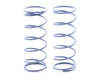 Image 1 for XRAY Front Spring Set C = 0.80 - (Grey-Blue) (2) (XB808)