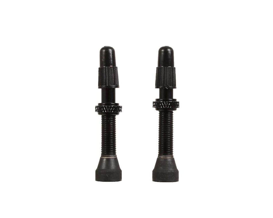 tubeless bike tire valve stem