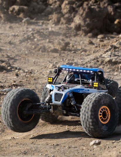 Losi Buggy and Short Course Truck