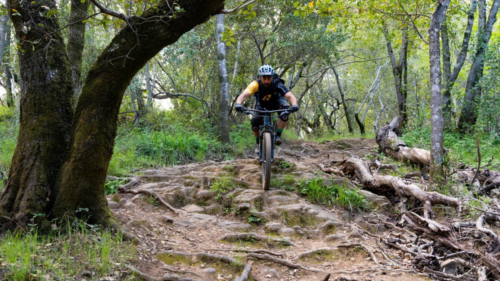 The Vittoria Tires did great in the rock garden, pinch flat, and sidewall testing.