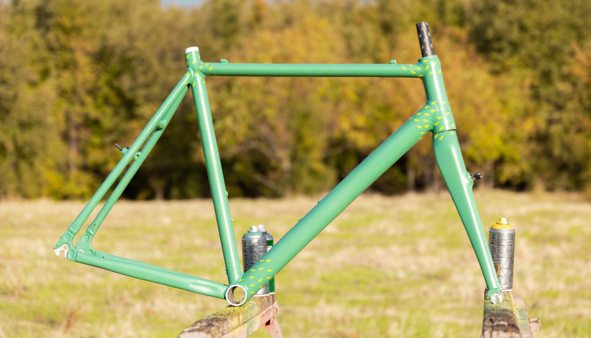 Custom Painted Cyclocross Frame