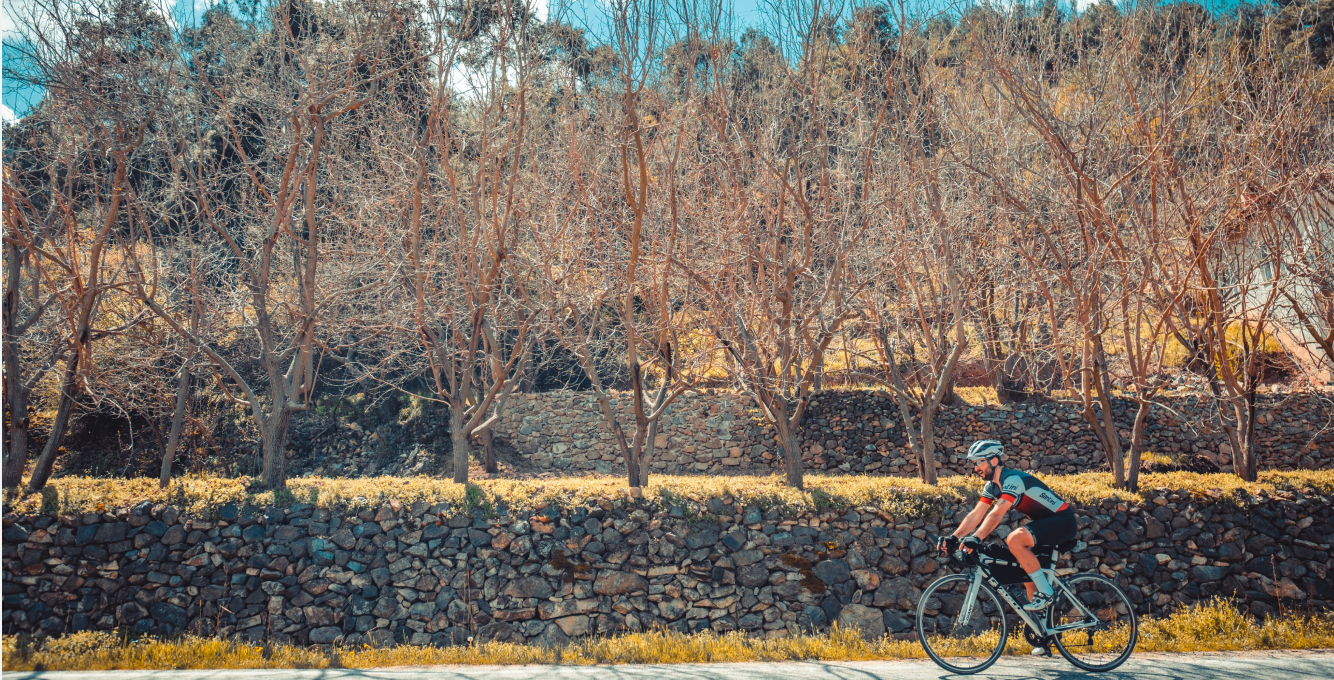 road cyclist riding in front of a rock wall