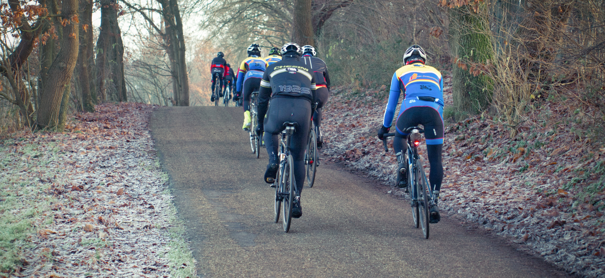 Group of cyclists from behind