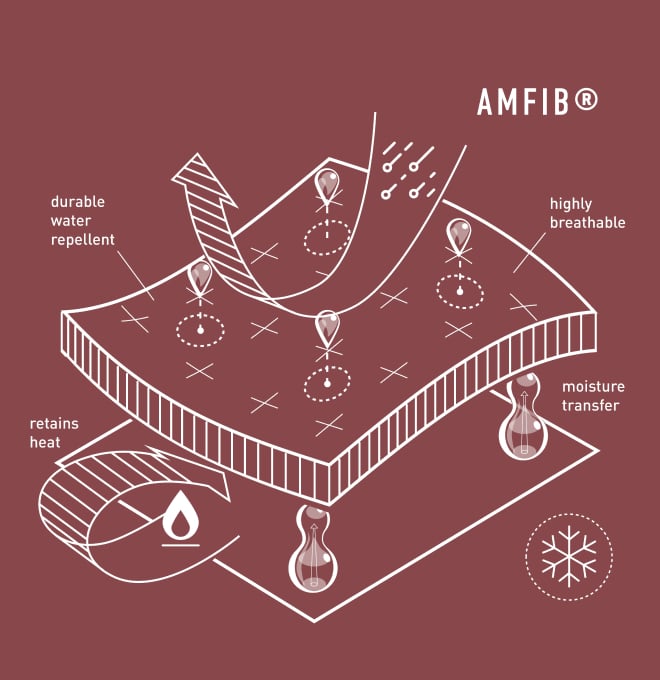 AmFIB diagram