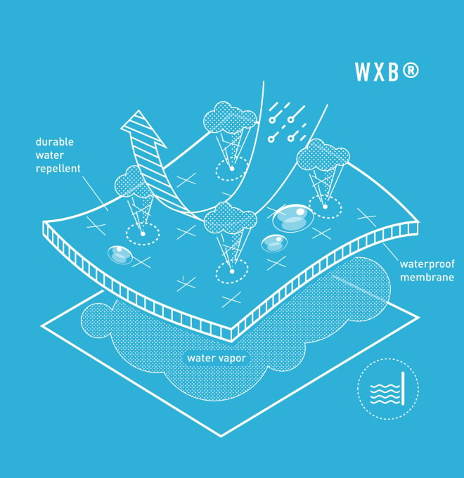 WXB diagram