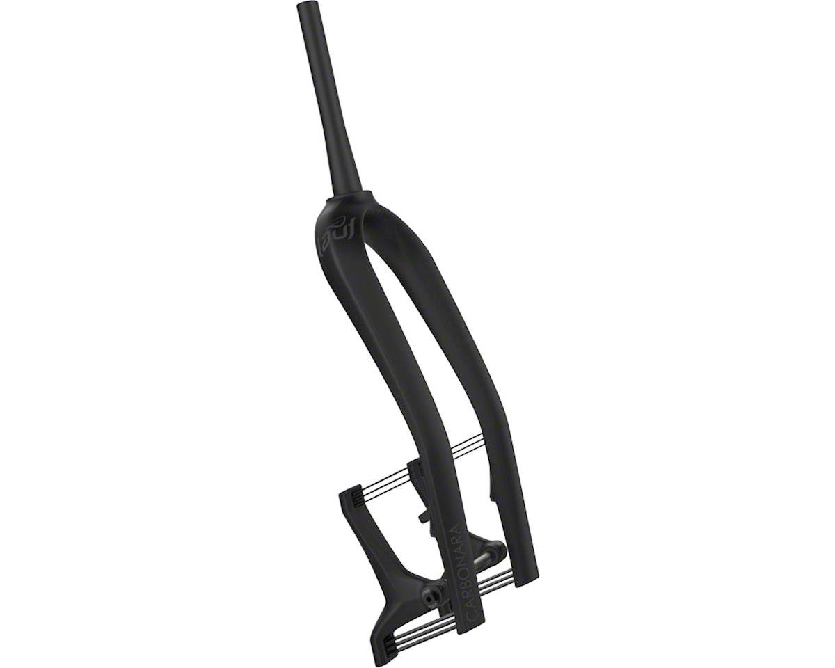 carbon fat bike fork