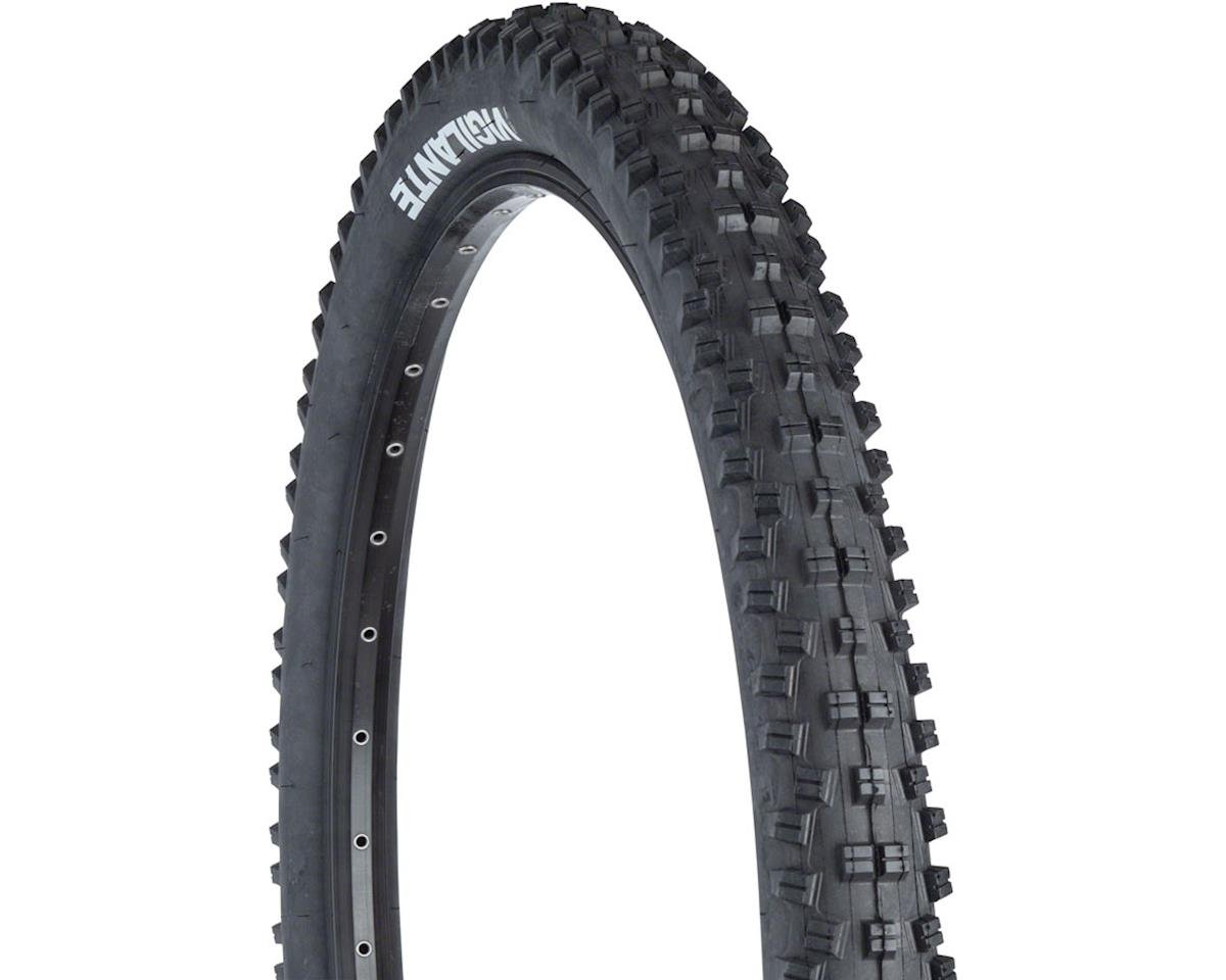 wtb velociraptor tires