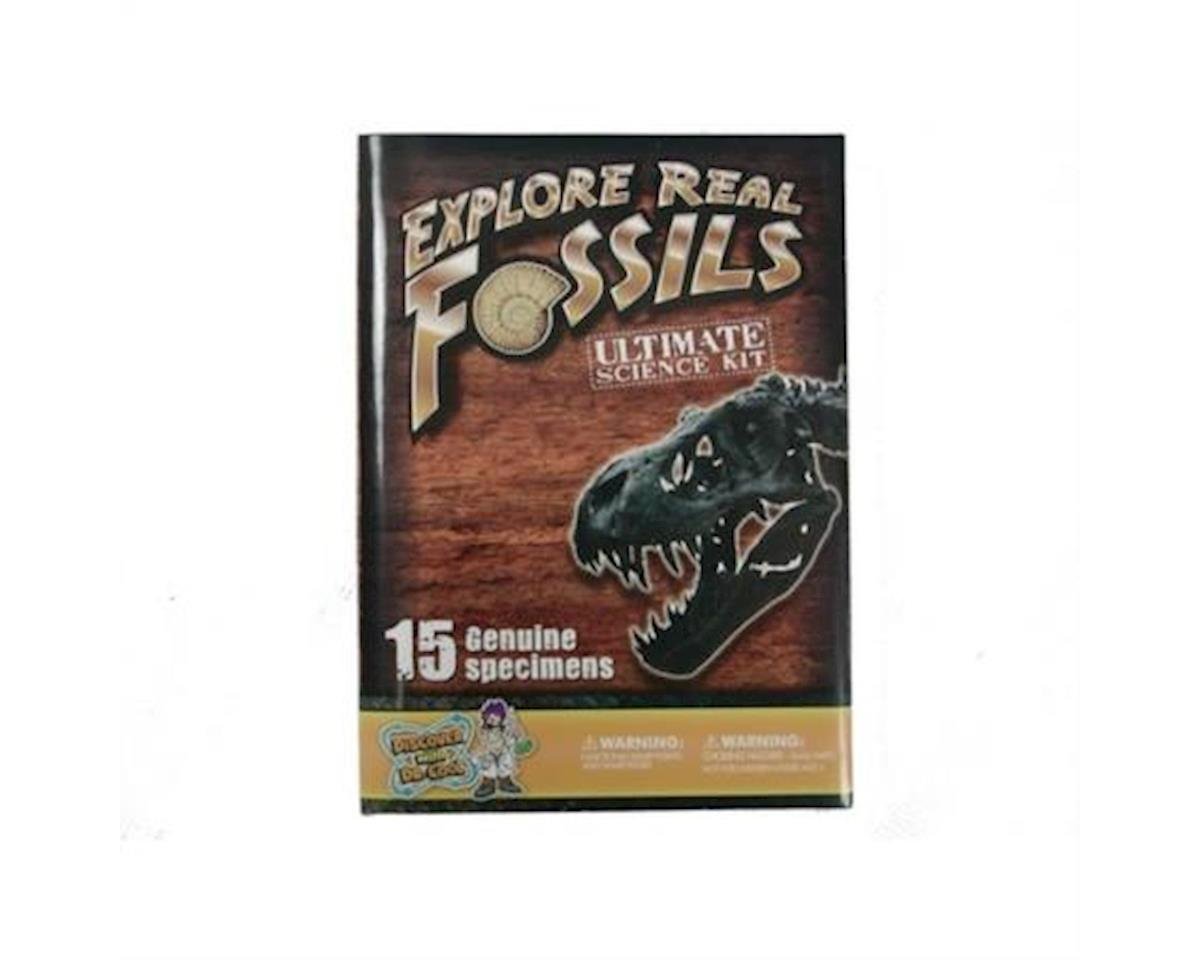 Discover with Dr Cool Ultimate Fossil Science Kit   15 Genuine Fossils Including Dinosaur specimens.