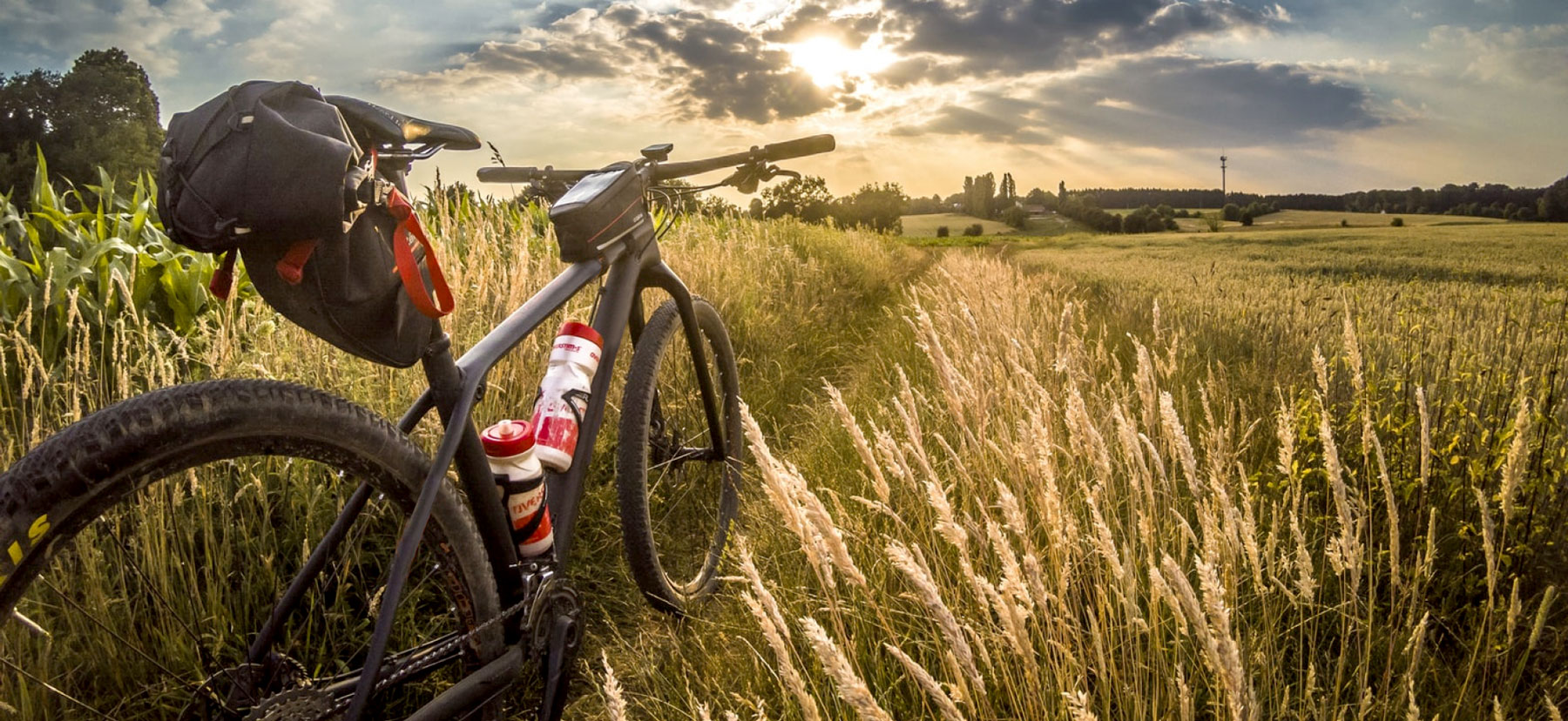 Bikepacking bike in a field